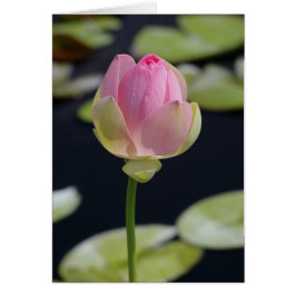 Roze Lotus Card