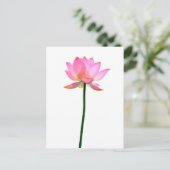 Roze Lotus Flower Briefkaart (Staand voorkant)