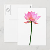 Roze Lotus Flower Briefkaart (Voorkant / Achterkant)