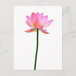 Roze Lotus Flower Briefkaart
