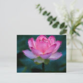 Roze Lotus Flower Briefkaart (Staand voorkant)