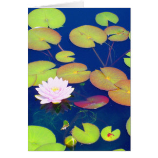 Roze Lotus Flower die drijft met lippenstift op vi