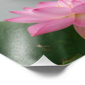Roze Lotus flower Foto Afdruk (Hoek)