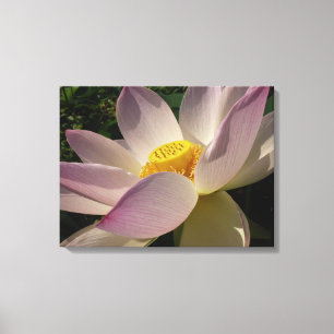 Roze Lotus Flower III Summer Floral Canvas Afdruk
