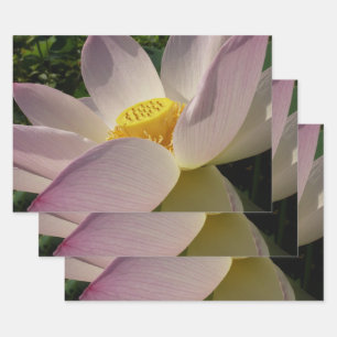 Roze Lotus Flower III Summer Floral Inpakpapier Vel