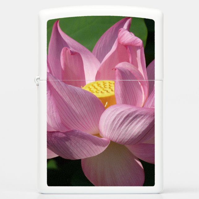 Roze Lotus Flower IV (Voorkant)