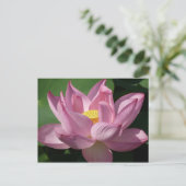Roze Lotus Flower IV Briefkaart (Staand voorkant)