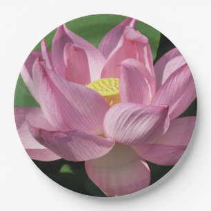 Roze Lotus Flower IV Papieren Bordje