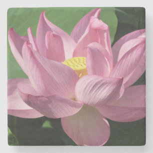 Roze Lotus Flower IV Stenen Onderzetter
