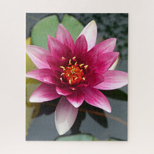 Roze Lotus Flower Legpuzzel