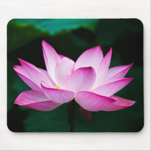 Roze Lotus Flower Muismat
