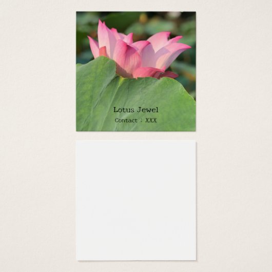 Roze Lotus Flower Vierkante Visitekaartjes (Voorkant /achterkant)