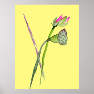 Roze Lotus flower waterverf Poster