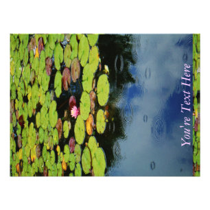 Roze lotus in regen foto afdruk