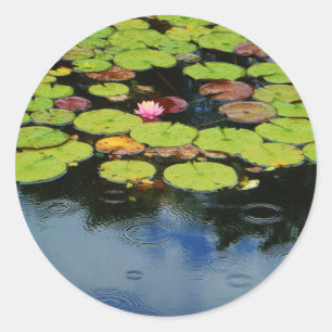 Roze lotus in regen ronde sticker