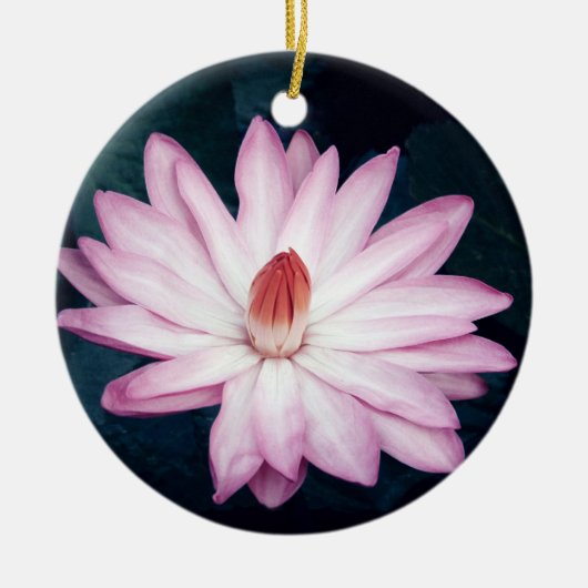 Roze Lotus Ornament (Voorkant)