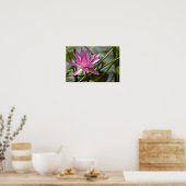 Roze lotus poster (Keuken)