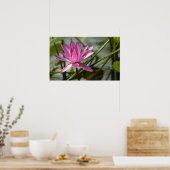 Roze lotus poster (Keuken)