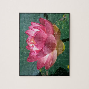 Roze Lotus - Puzzel Legpuzzel