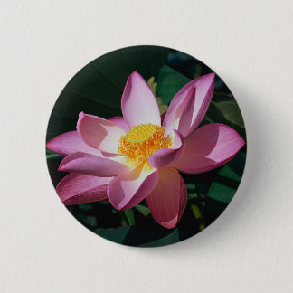 Roze Lotus Ronde Button 5,7 Cm