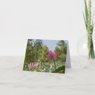 Roze Lotus | The Returning: The Garden Weeks Notitiekaartje