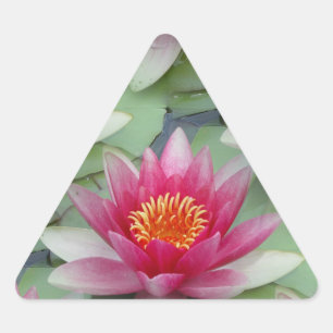 Roze Lotus Water Lily Driehoek Sticker