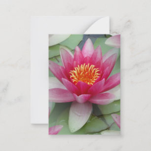 Roze Lotus Water Lily Flat Note Kaart Notitiekaartje