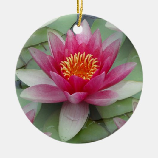 Roze Lotus Water Lily Keramisch Ornament (Voorkant)