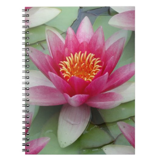 Roze Lotus Water Lily Notitieboek (Voorkant)
