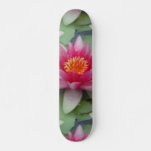 Roze Lotus Water Lily Skateboard