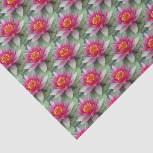 Roze Lotus Water Lily Tissuepapier (Detail)