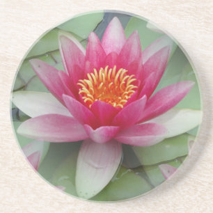 Roze Lotus Water Lily Zandsteen Onderzetter