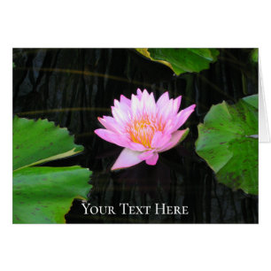 Roze Lotus Waterlelie
