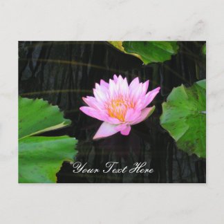 Roze Lotus Waterlily Briefkaart