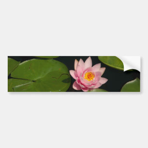 Roze Lotus Waterlily Bumpersticker