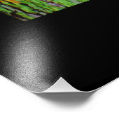 roze lotus zwart water foto afdruk (Hoek)