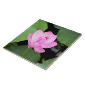 Roze lotusbloem tegeltje (Zijkant)