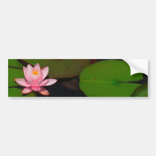 Roze lotusbloemtuin, bumpersticker
