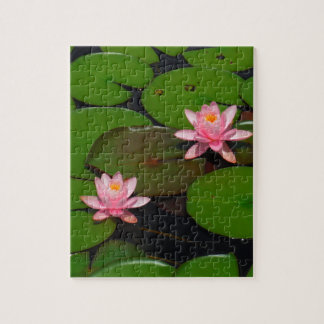 Roze lotusbloemtuin, legpuzzel