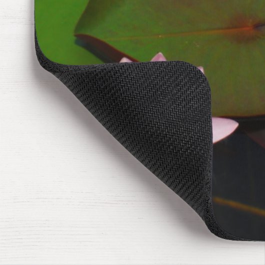 Roze lotusbloemtuin, muismat (Hoek)