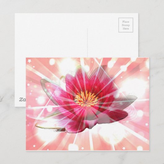 roze lotusbloesem briefkaart (Voorkant / Achterkant)