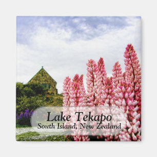 Roze luis bij het Tekapo Nieuw Zeeland Magnet Magneet