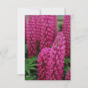 Roze Lupine Flat Note Kaart Notitiekaartje
