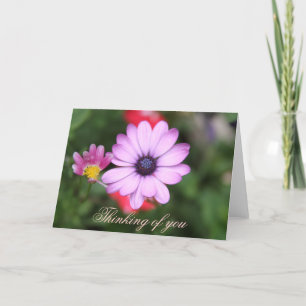 Roze madeliefje bloem kaart