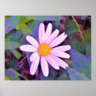 Roze Madeliefje Bloem Poster