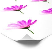 Roze Madeliefje Foto Afdruk (Hoek)
