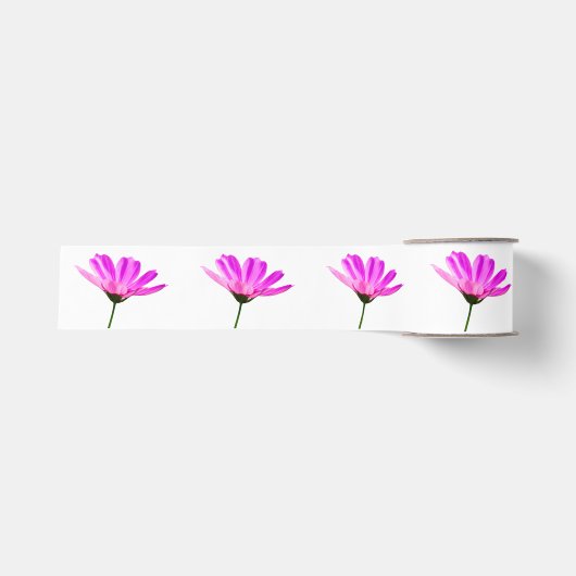 Roze Madeliefje Grosgrain Lint (Voorkant)