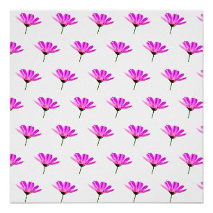 Roze Madeliefje Perfect Poster
