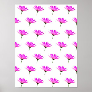 Roze Madeliefje Poster