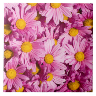 Roze madeliefjespatroon tegeltje